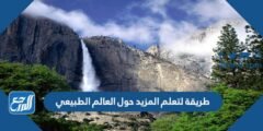 طريقة لتعلم المزيد حول العالم الطبيعي 2025 1 طريقة لتعلم المزيد حول العالم الطبيعي