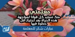 عبارات شكر للمعلمة قصيرة جدا 2025 2 عبارات شكر للمعلمة قصيرة جدا 2024