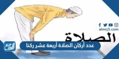 عدد أركان الصلاة أربعة عشر ركنا