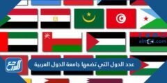 عدد الدول التي تضمها جامعة الدول العربية 2025