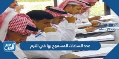 عدد الساعات المسموح بها في الترم في الجامعات السعودية 1446