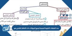 عدد الطبقات الخلوية الجنينية لجميع الحيوانات ذات التناظر الجانبي هو 2025 3 عدد الطبقات الخلوية الجنينية لجميع الحيوانات ذات التناظر الجانبي هو