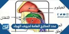 عدد المخارج العامة لحروف الهجاء
