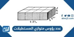 كم عدد رؤوس متوازي المستطيلات 2025 3 كم عدد رؤوس متوازي المستطيلات