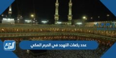 كم عدد ركعات التهجد في الحرم المكي رمضان 2025 1 كم عدد ركعات التهجد في الحرم المكي رمضان 2024