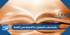 علامة نصب المفعول بة الاصلية هي الفتحة 2025 3 علامة نصب المفعول بة الاصلية هي الفتحة
