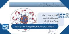 عملية الشحن من خلال النظرة المجهرية للشحنة هي عملية 2025 3 عملية الشحن من خلال النظرة المجهرية للشحنة هي عملية