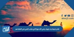 غلام خديجة بنت خويلد رضي الله عنها الذي صاحب النبي في التجارة هو 2025 3 غلام خديجة بنت خويلد رضي الله عنها الذي صاحب النبي في التجارة هو