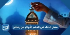 فضل الدعاء في العشر الأواخر من رمضان