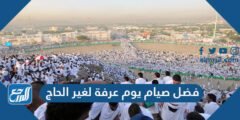 فضل صيام يوم عرفة لغير الحاج 2025 3 فضل صيام يوم عرفة لغير الحاج