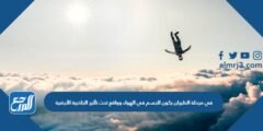 في مرحلة الطيران يكون الجسم في الهواء وواقع تحت تأثير الجاذبية الأرضية