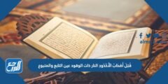 قُتِلَ أَصْحَابُ الْأُخْدُودِ النار ذات الوقود عين التابع والمتبوع 2025 1 قُتِلَ أَصْحَابُ الْأُخْدُودِ النار ذات الوقود عين التابع والمتبوع