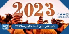 كم باقي على السنه الجديده 2025 العد التنازلي 2025 2 كم باقي على السنه الجديده 2025 العد التنازلي