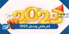 كم باقي وندخل 2025 العد التنازلي
