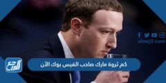 كم ثروة مارك صاحب الفيس بوك الآن 2025 3 كم ثروة مارك صاحب الفيس بوك الآن