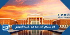 كم رسوم الدراسة فى كلية البترجي 2025 وشروط القبول 2025 3 كم رسوم الدراسة فى كلية البترجي 2024 وشروط القبول