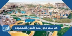كم سعر بطاقة الدخول إلى جنة دلمون المفقودة 2025 1 كم سعر بطاقة الدخول إلى جنة دلمون المفقودة