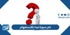 كم سورة تبدا بالاستفهام - 2025 2 كم سورة تبدا بالاستفهام - موقع المرجع