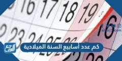 كم عدد أسابيع السنة الميلادية 2025 1 كم عدد أسابيع السنة الميلادية
