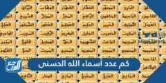 كم عدد أسماء الله الحسنى وما هي أهمية العلم بها وفضلها 2025 3 كم عدد أسماء الله الحسنى وما هي أهمية العلم بها وفضلها
