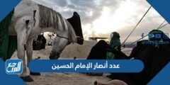 كم عدد أنصار الإمام الحسين 2025 3 كم عدد أنصار الإمام الحسين