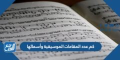 كم عدد المقامات الموسيقية وأسمائها 2025 2 كم عدد المقامات الموسيقية وأسمائها