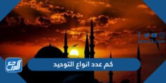 كم عدد انواع التوحيد - 2025 3 كم عدد انواع التوحيد - موقع المرجع
