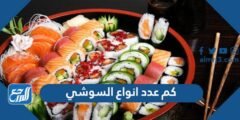 كم عدد انواع السوشي - موقع المرجع