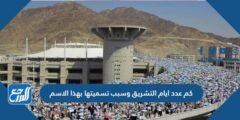 كم عدد ايام التشريق وسبب تسميتها بهذا الاسم 2025 1 كم عدد ايام التشريق وسبب تسميتها بهذا الاسم