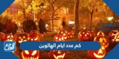 كم عدد ايام الهالوين 2025 ومتى ينتهي 2025 1 كم عدد ايام الهالوين 2024 ومتى ينتهي