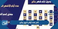 كم عدد ايام شهر يناير 2025 2 كم عدد ايام شهر يناير 2024