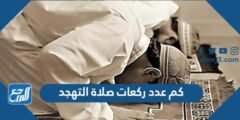 كم عدد ركعات صلاة التهجد في رمضان 2025 1 كم عدد ركعات صلاة التهجد في رمضان