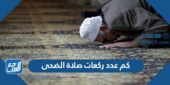 كم عدد ركعات صلاة الضحى 2025 3 كم عدد ركعات صلاة الضحى