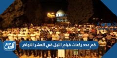كم عدد ركعات قيام الليل في العشر الأواخر 2025 2 كم عدد ركعات قيام الليل في العشر الأواخر