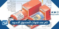 كم عدد قنوات الصندوق الاسود 2025 2 كم عدد قنوات الصندوق الاسود