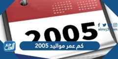 كم عمر مواليد 2005 - 2025 3 كم عمر مواليد 2005 - موقع المرجع