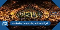 كم كان عمر الحسن والحسين عند وفاة فاطمة 2025 1 كم كان عمر الحسن والحسين عند وفاة فاطمة