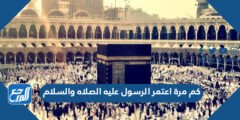 كم مرة اعتمر الرسول عليه الصلاه والسلام 2025 2 كم مرة اعتمر الرسول عليه الصلاه والسلام
