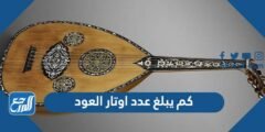 كم يبلغ عدد اوتار العود