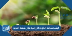 كيف تساعد الدورة الزراعية على حفظ التربة