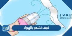 كيف نشعر بالهواء - 2025 3 كيف نشعر بالهواء - موقع المرجع