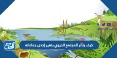 كيف يتأثر المجتمع الحيوي بتغير إحدى جماعاته 2025 1 كيف يتأثر المجتمع الحيوي بتغير إحدى جماعاته
