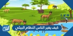 كيف يغير الناس النظام البيئي 2025 3 كيف يغير الناس النظام البيئي