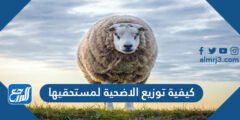 كيفية توزيع الاضحية لمستحقيها - 2025 2 كيفية توزيع الاضحية لمستحقيها - موقع المرجع