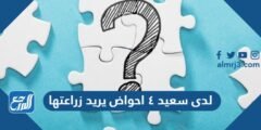 لدى سعيد ٤ احواض يريد زراعتها 2025 3 لدى سعيد ٤ احواض يريد زراعتها