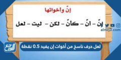 لعل حرف ناسخ من أخوات إن يفيد 0.5 نقطة 2025 2 لعل حرف ناسخ من أخوات إن يفيد 0.5 نقطة