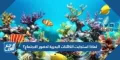 لماذا استجابت الكائنات البحرية لحضور الاجتماع؟