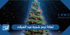 لماذا ترمز شجرة عيد الميلاد