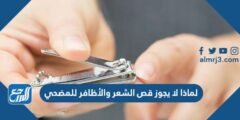 لماذا لا يجوز قص الشعر والأظافر للمضحي 2025 3 لماذا لا يجوز قص الشعر والأظافر للمضحي