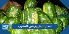ما اسم البطيخ في المغرب 2025 2 ما اسم البطيخ في المغرب